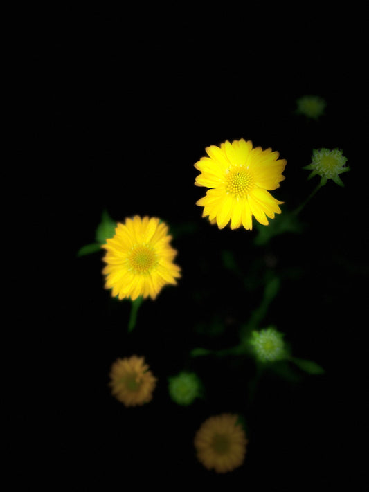 Cuarzo limón piedra bruta 3-6cm