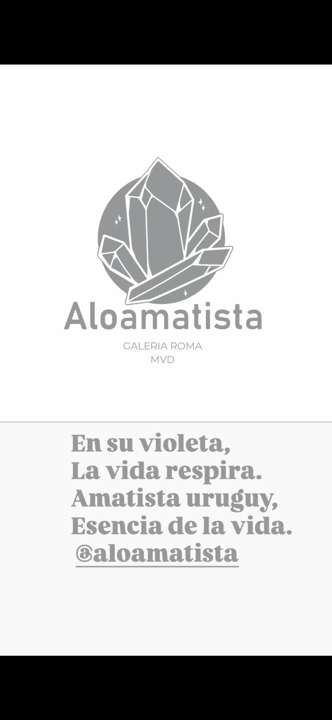 Pulsera amatista y amazonita